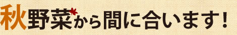 秋野菜から間に合います!